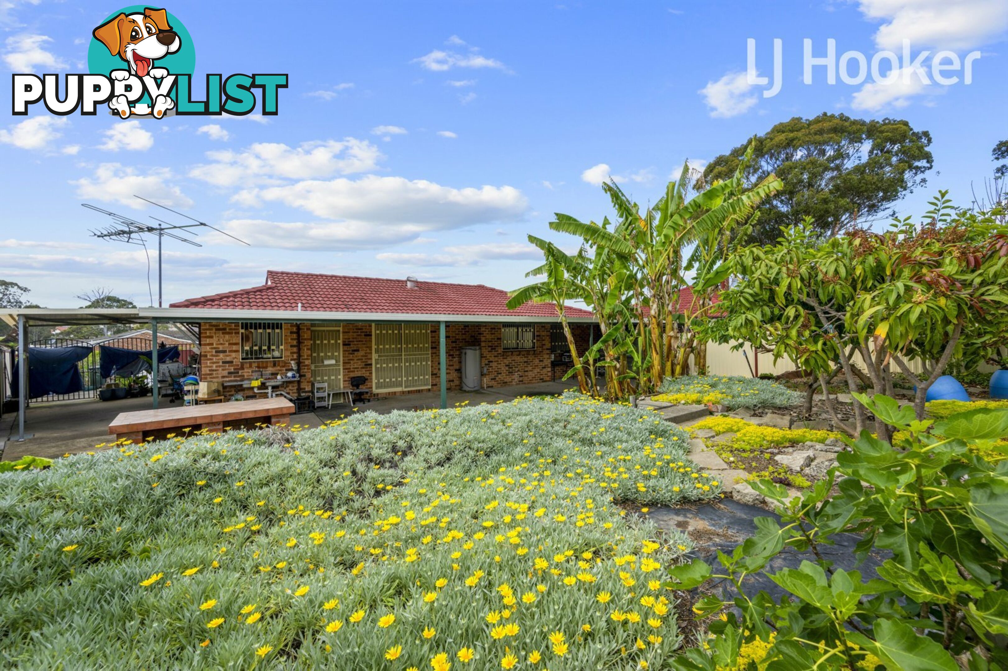 15 Lalich Ave BONNYRIGG NSW 2177