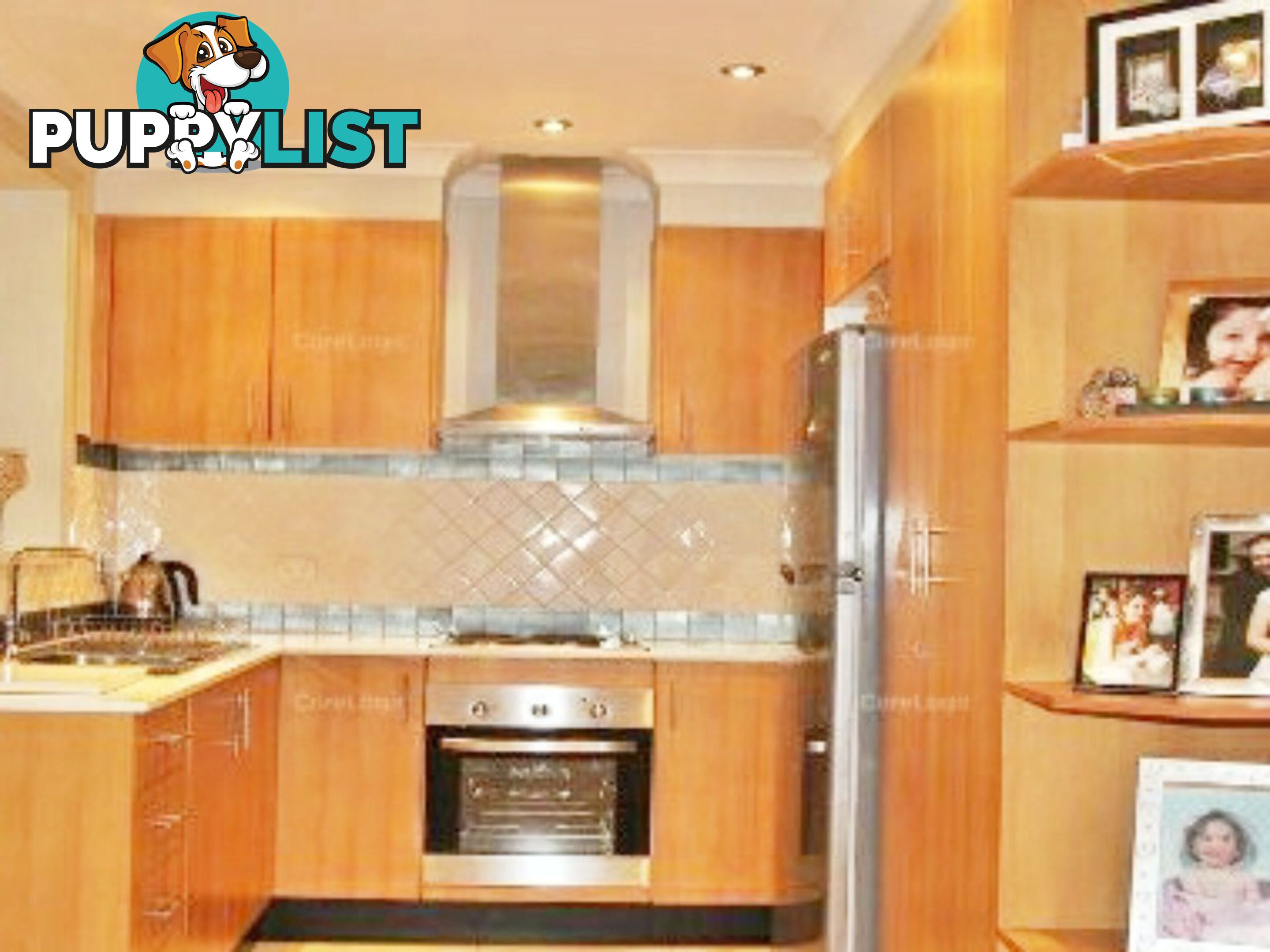 13 Rachel Cr MOUNT PRITCHARD NSW 2170