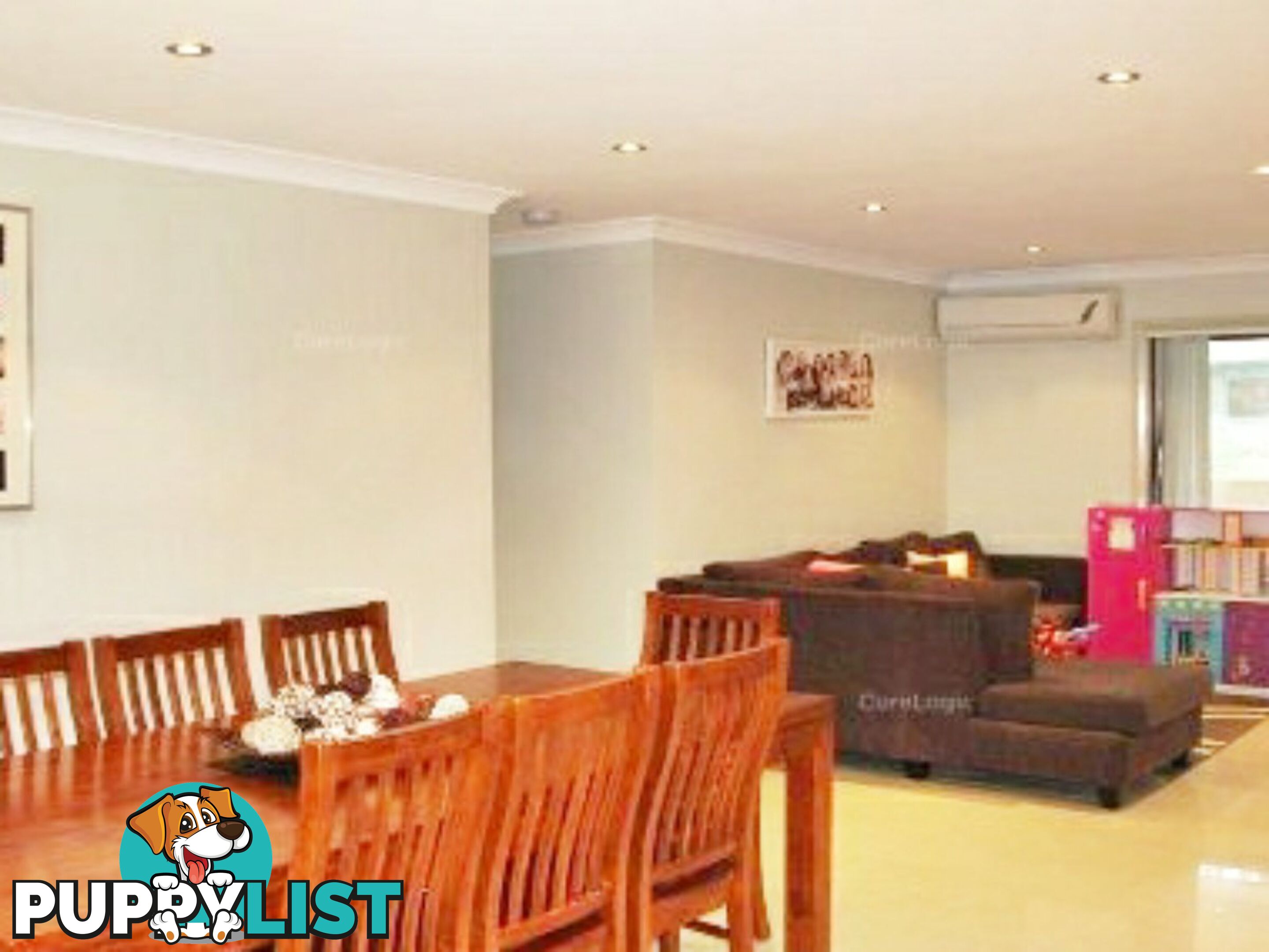13 Rachel Cr MOUNT PRITCHARD NSW 2170