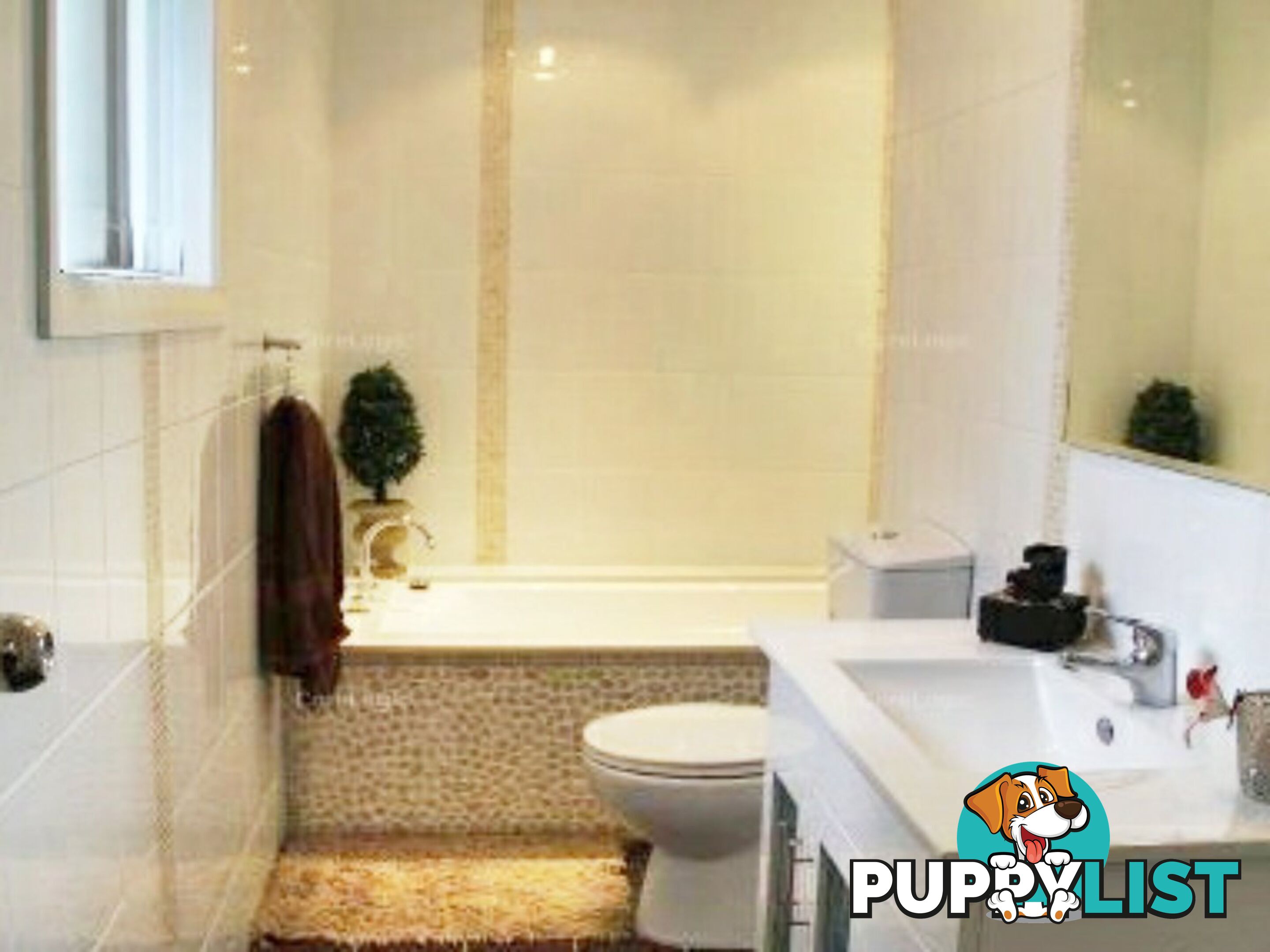 13 Rachel Cr MOUNT PRITCHARD NSW 2170