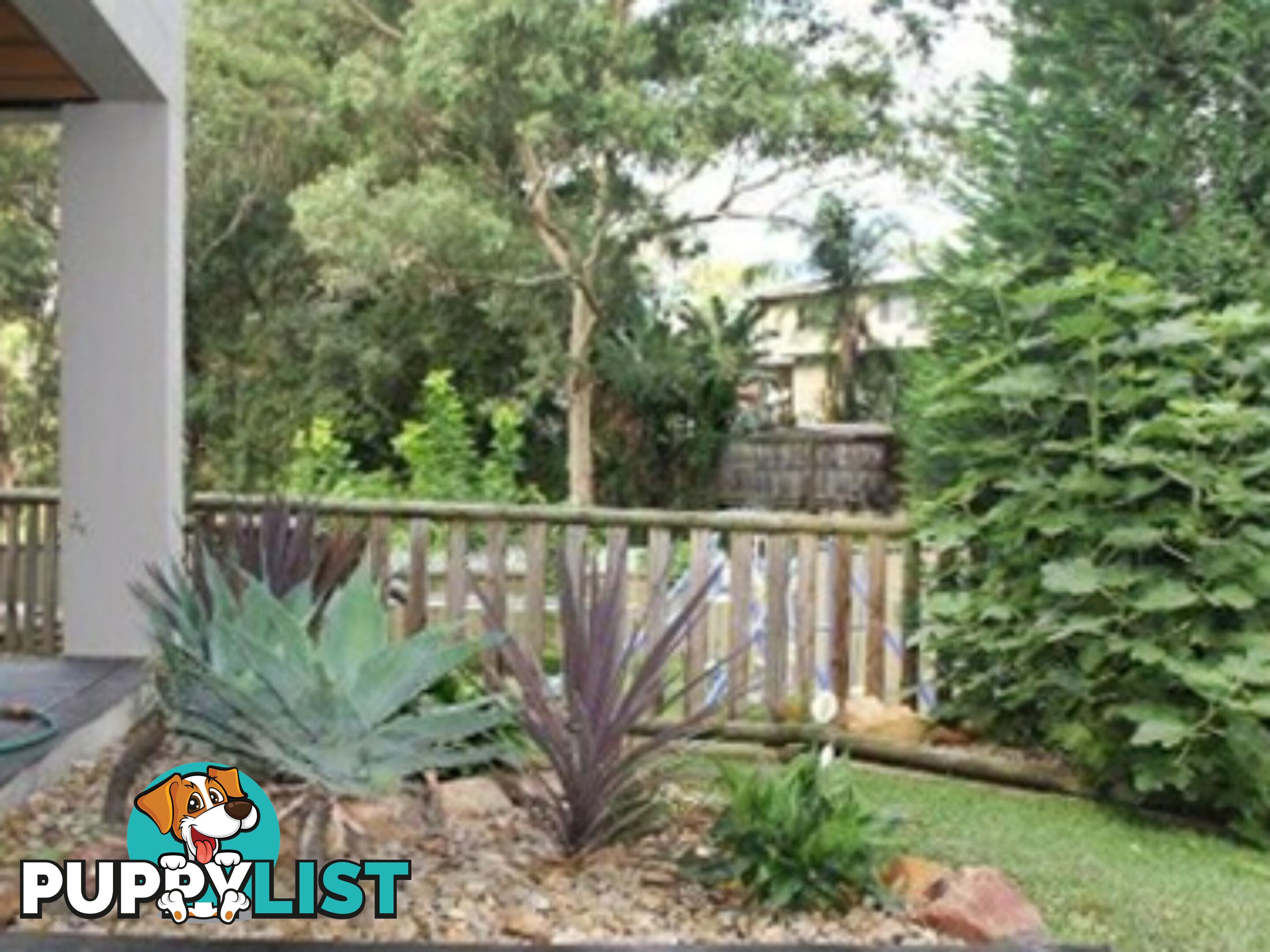 13 Rachel Cr MOUNT PRITCHARD NSW 2170