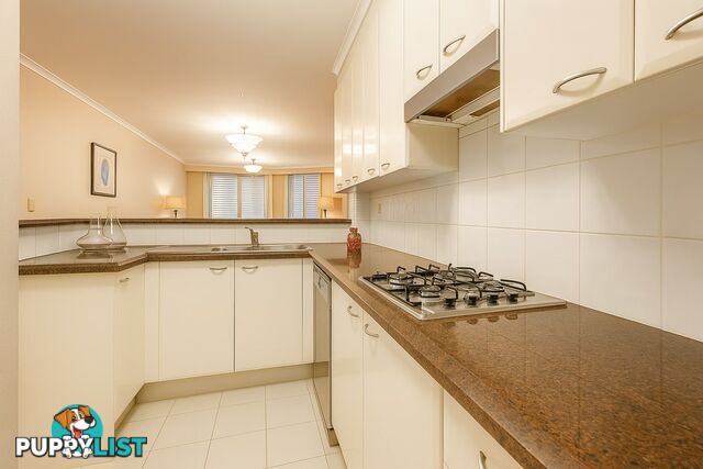 330/303-321 Castlereagh Street HAYMARKET NSW 2000