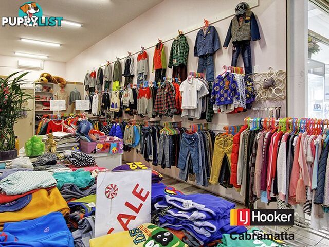 53 Park Road CABRAMATTA NSW 2166