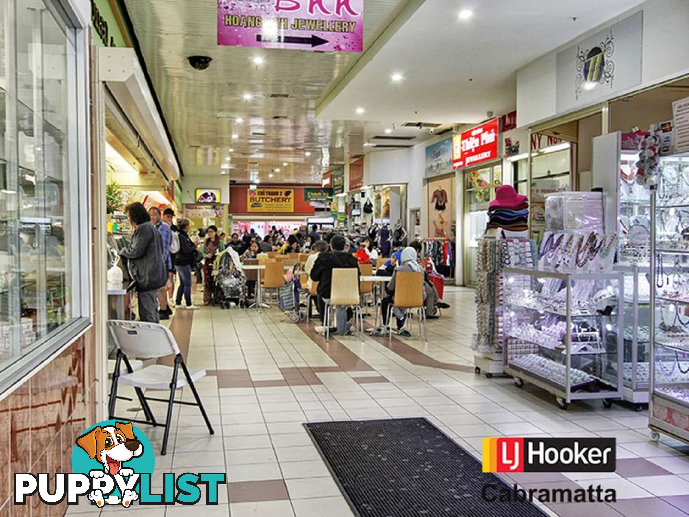 53 Park Road CABRAMATTA NSW 2166