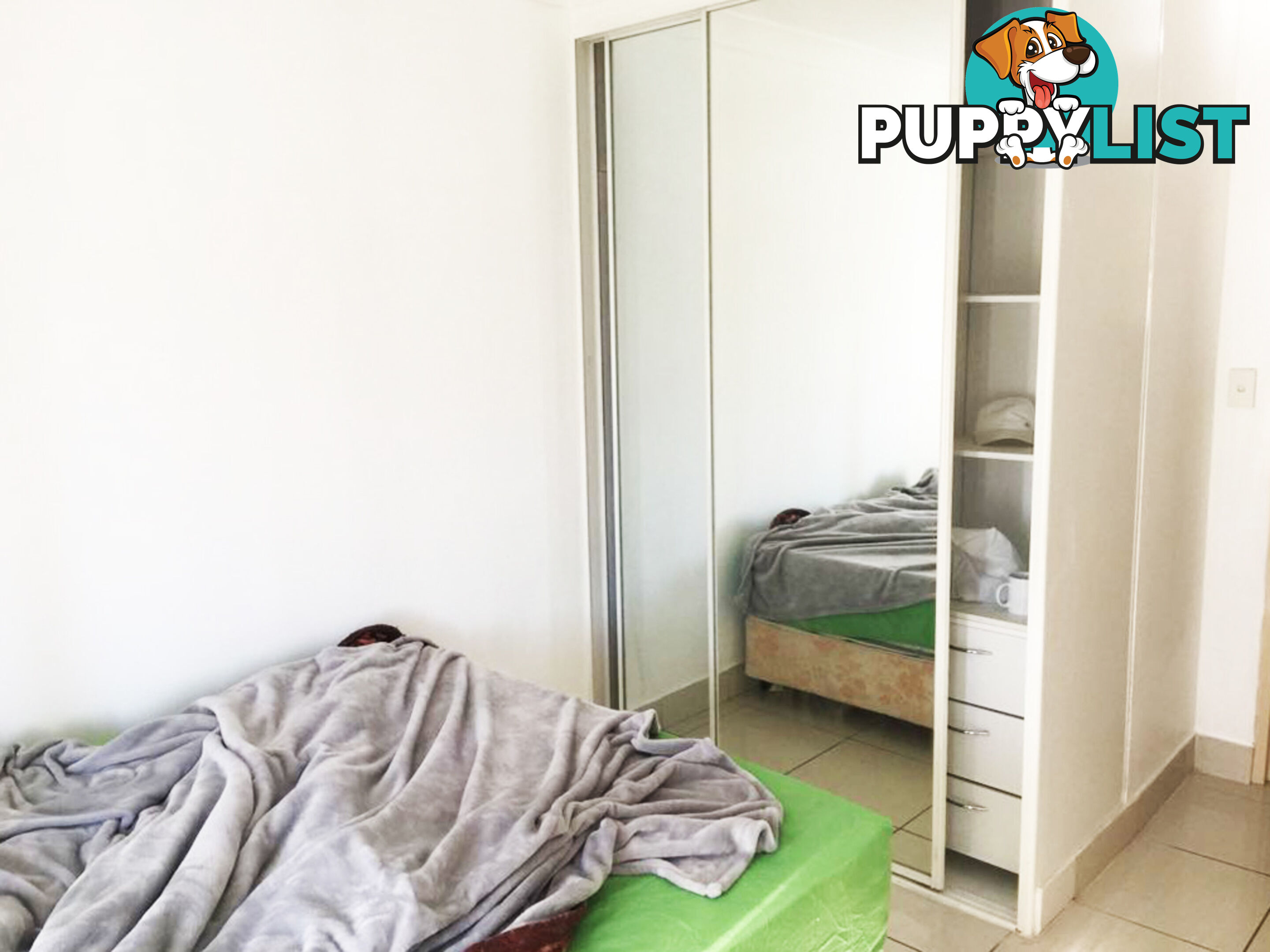 10/13 Restwell Street BANKSTOWN NSW 2200
