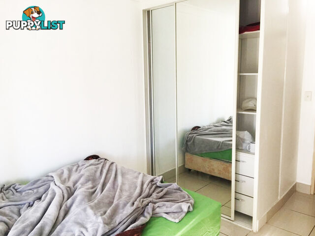 10/13 Restwell Street BANKSTOWN NSW 2200
