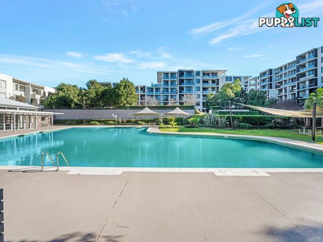 404/16 Corniche Drive WENTWORTH POINT NSW 2127