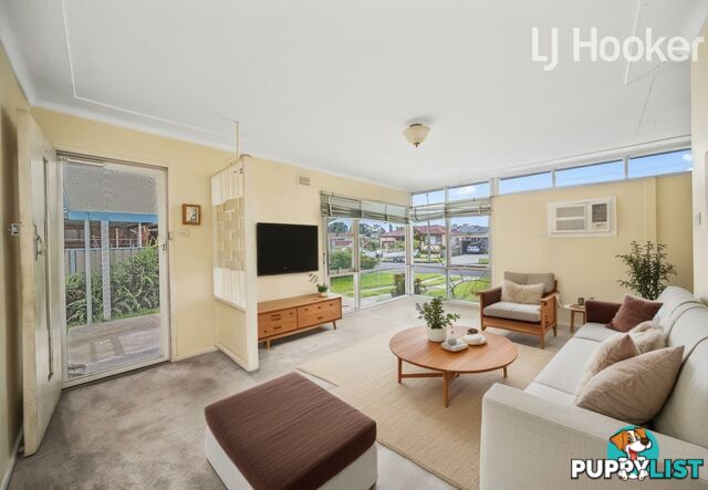 14 Fiona Street MOUNT PRITCHARD NSW 2170