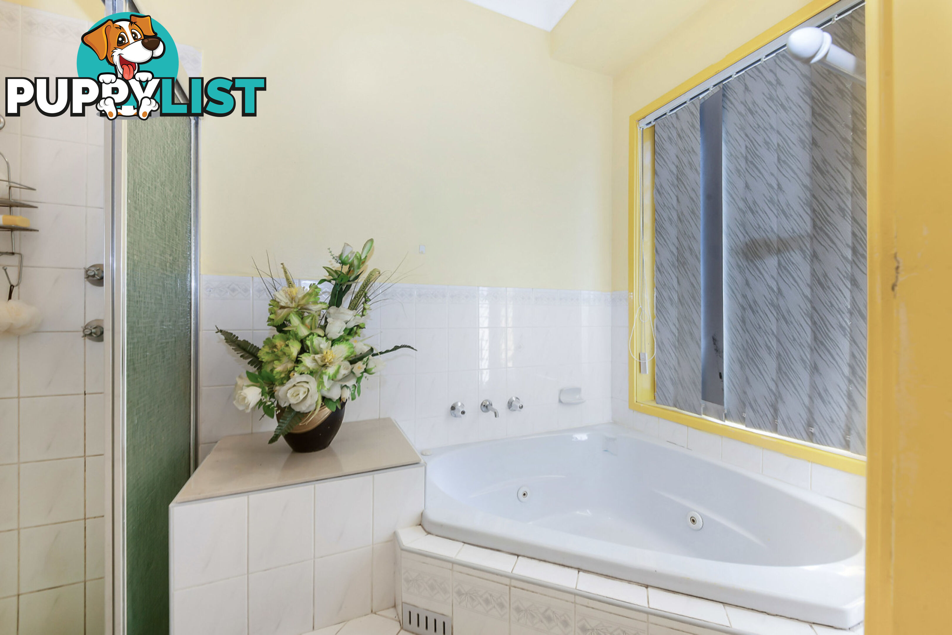78 Torrens Street CANLEY HEIGHTS NSW 2166