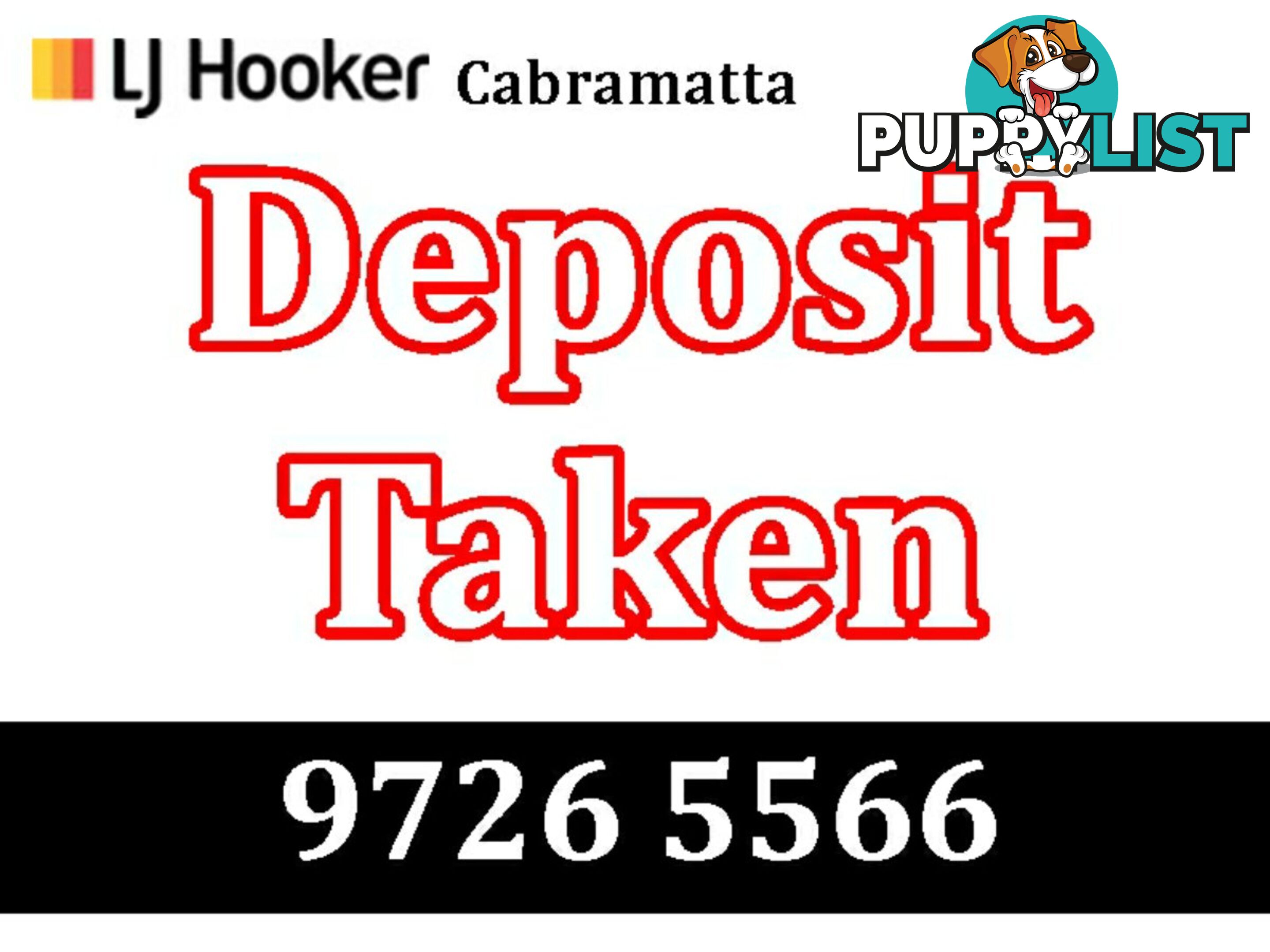 124A Hughes St CABRAMATTA NSW 2166