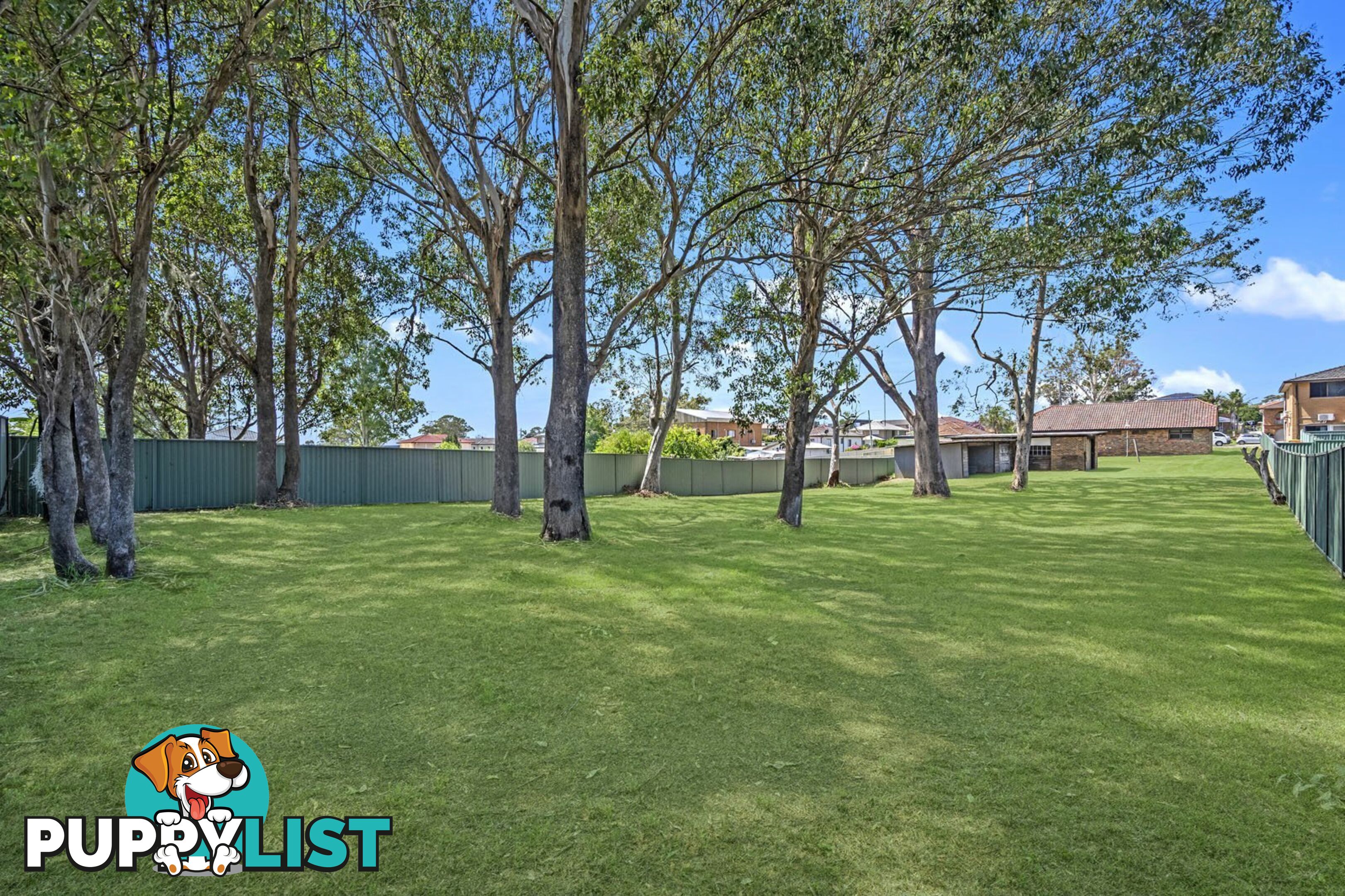 316 Elizabeth Drive MOUNT PRITCHARD NSW 2170