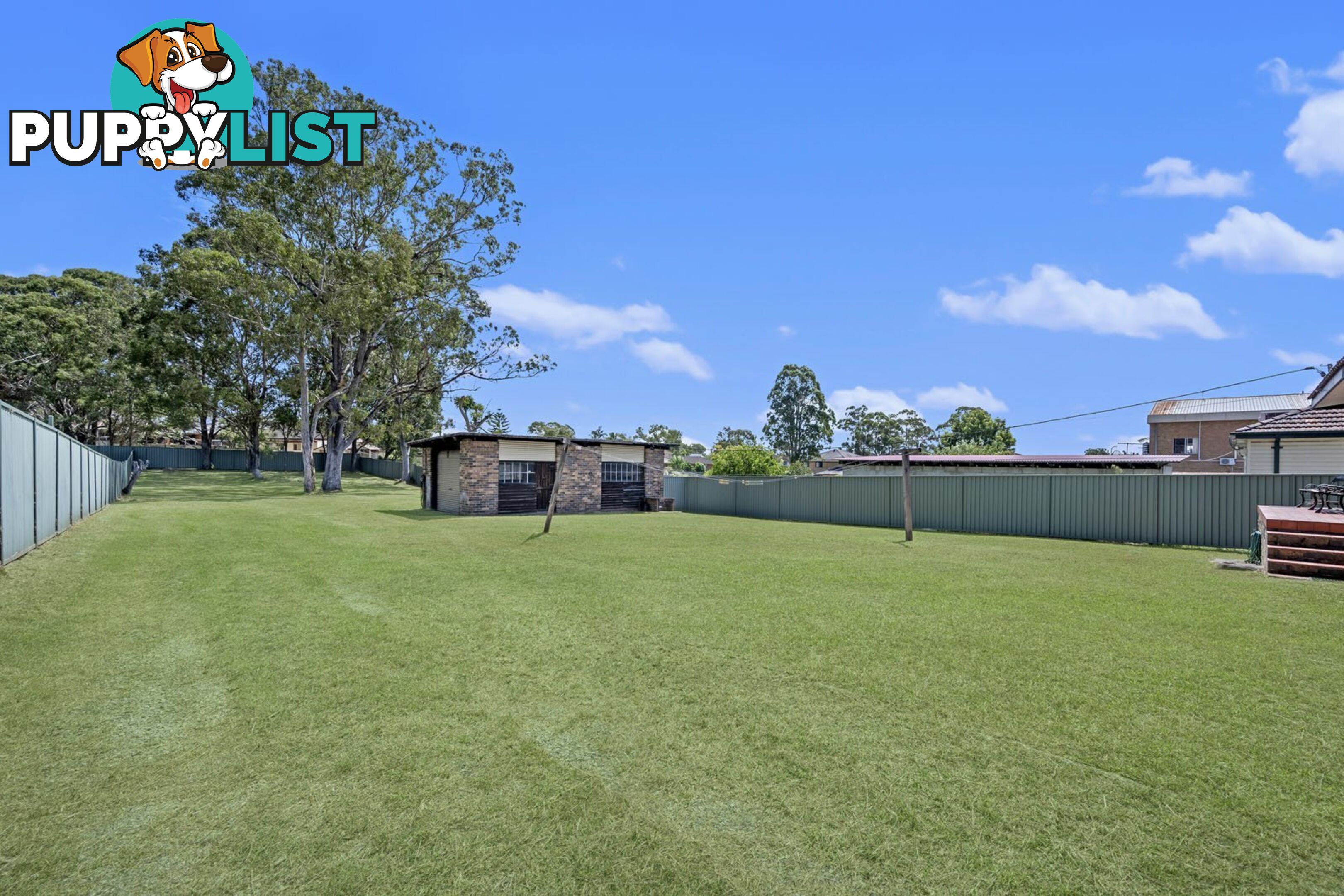 316 Elizabeth Drive MOUNT PRITCHARD NSW 2170