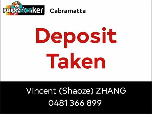 27/96-100 Longfield St CABRAMATTA NSW 2166
