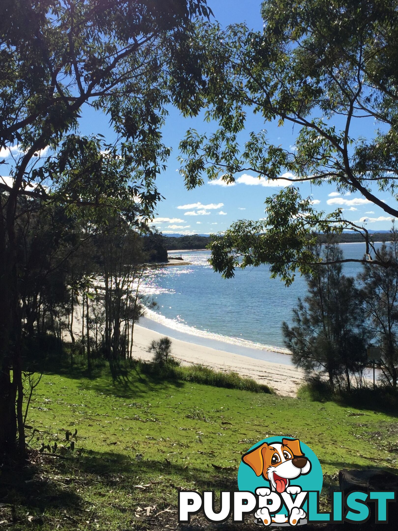 212 Goodland Road WOOLLAMIA NSW 2540