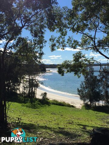212 Goodland Road WOOLLAMIA NSW 2540