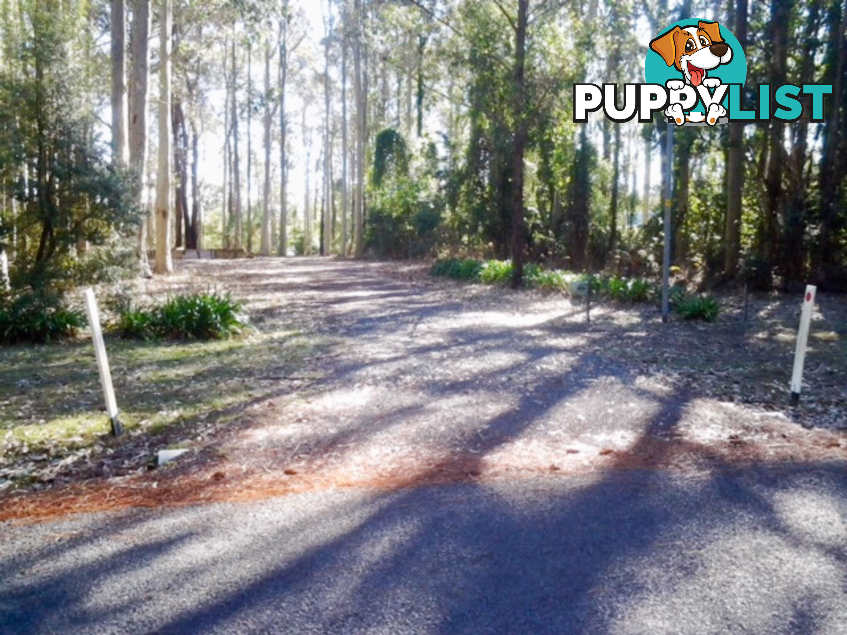 212 Goodland Road WOOLLAMIA NSW 2540