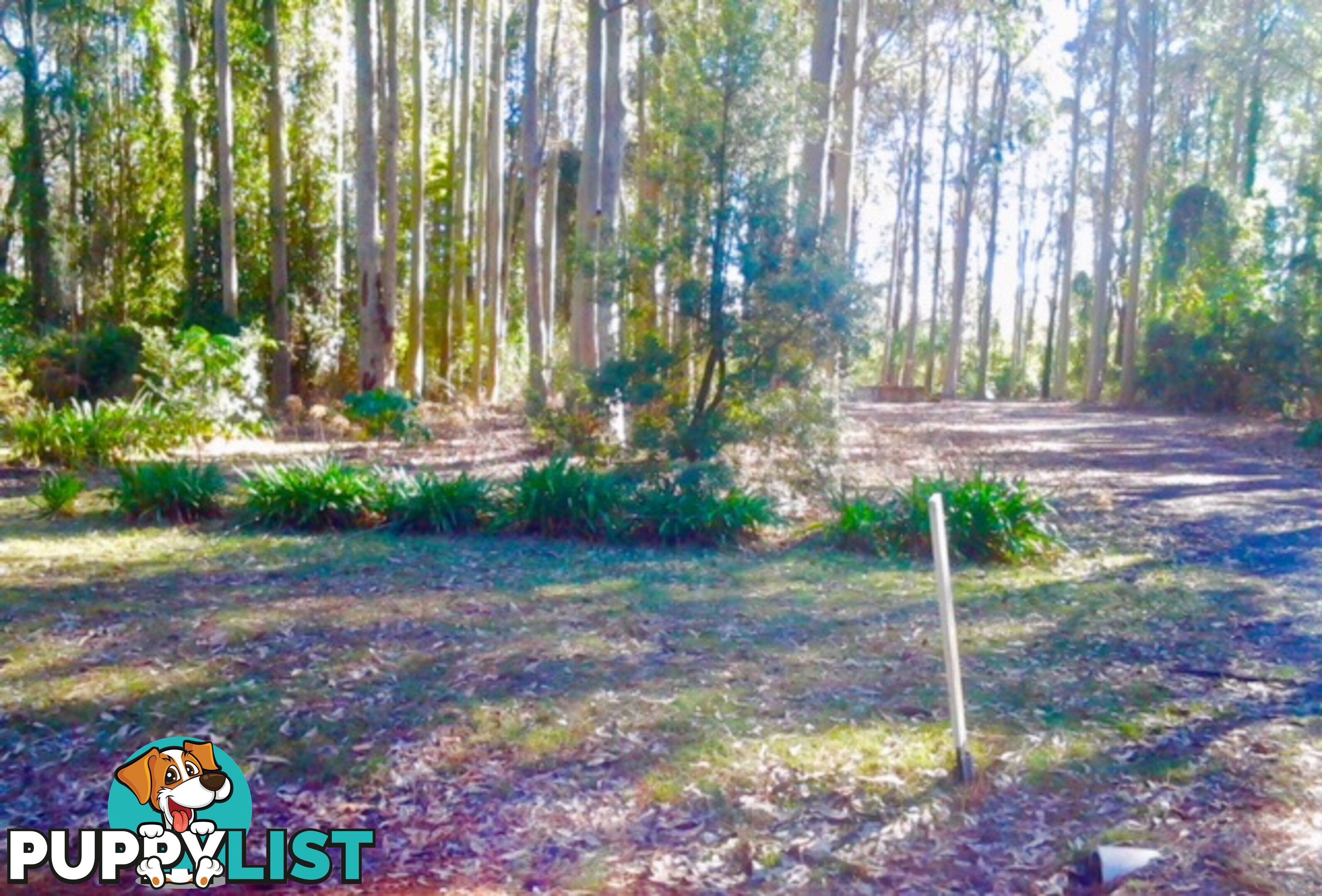 212 Goodland Road WOOLLAMIA NSW 2540