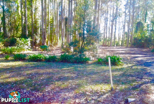 212 Goodland Road WOOLLAMIA NSW 2540