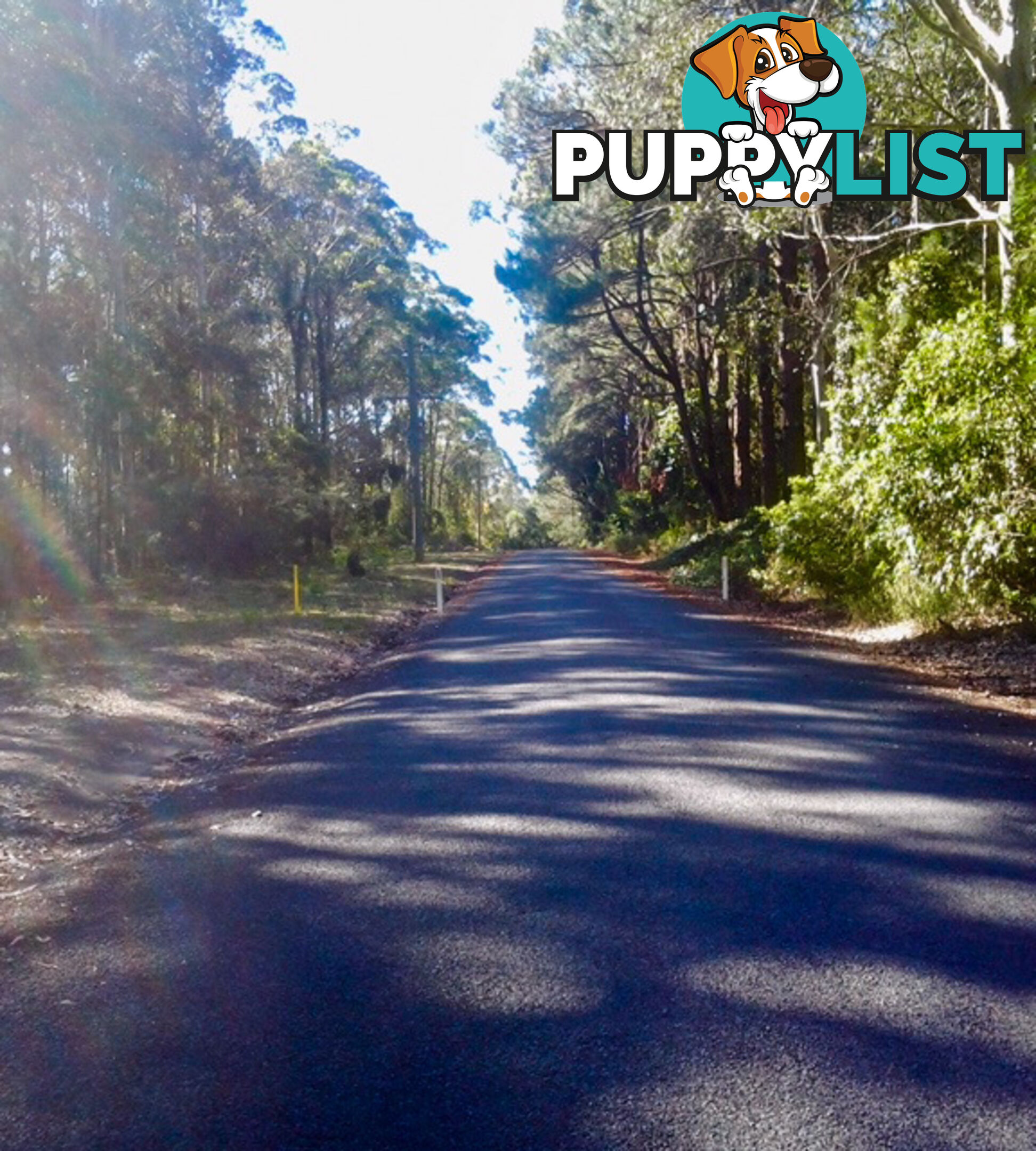 212 Goodland Road WOOLLAMIA NSW 2540