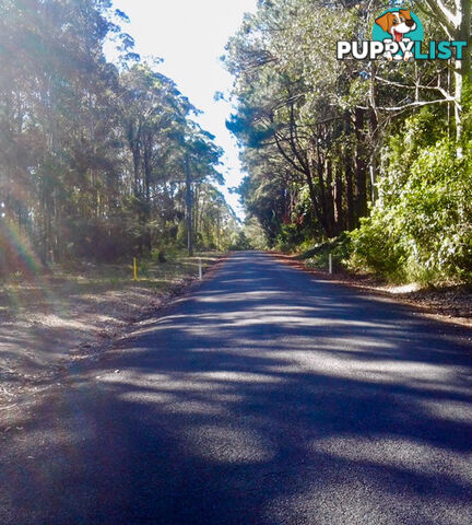 212 Goodland Road WOOLLAMIA NSW 2540