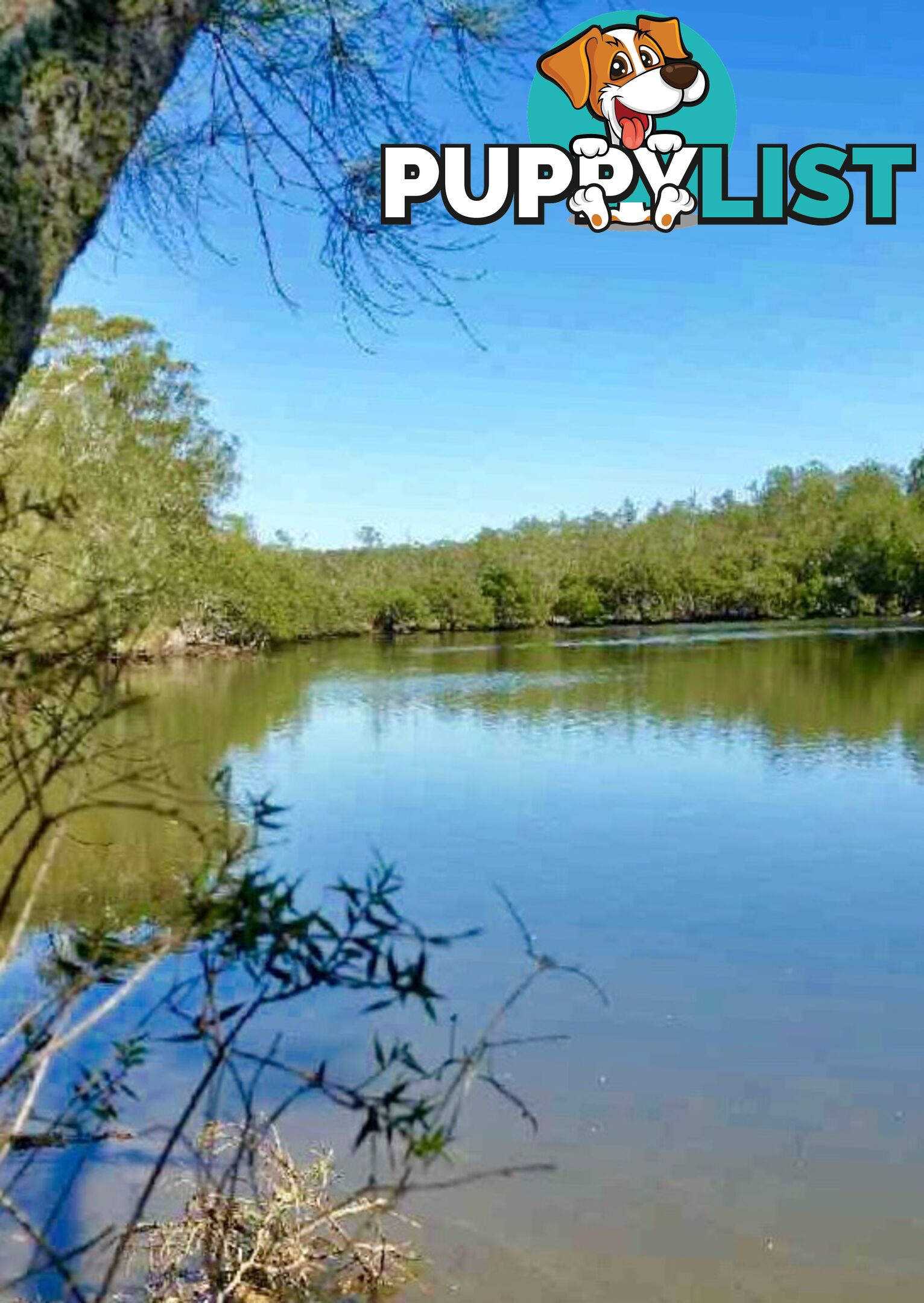 212 Goodland Road WOOLLAMIA NSW 2540