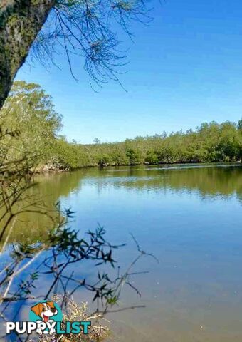 212 Goodland Road WOOLLAMIA NSW 2540