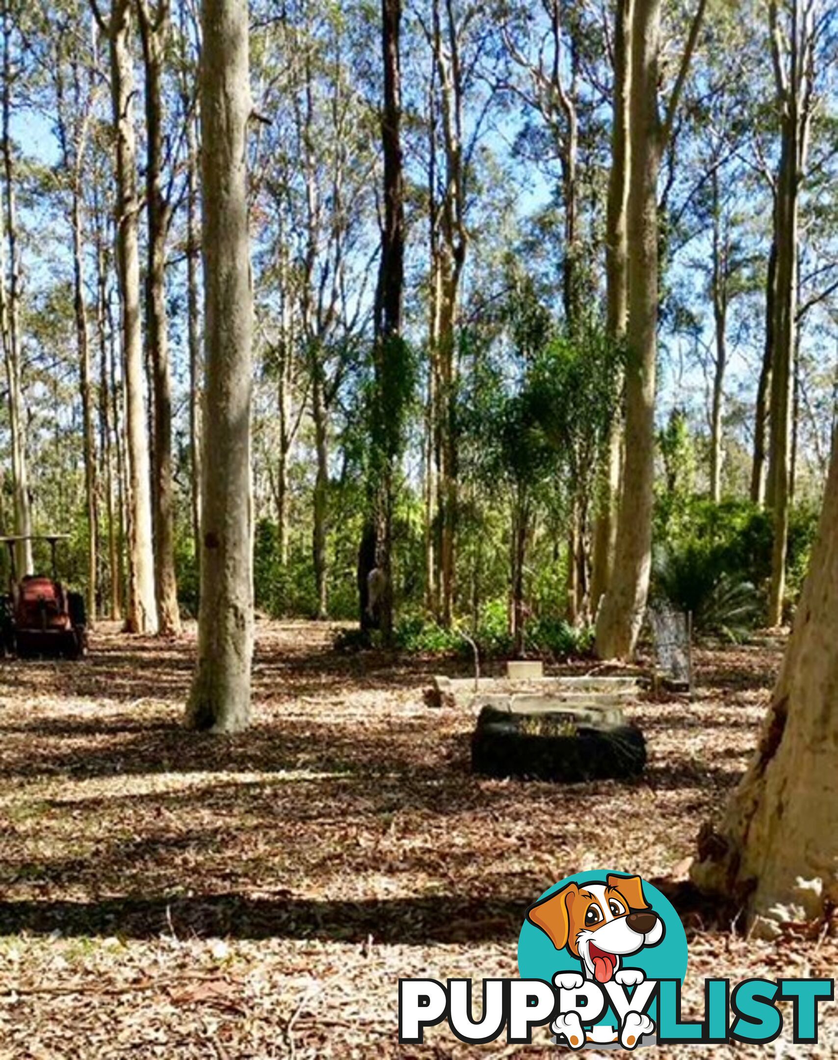 212 Goodland Road WOOLLAMIA NSW 2540