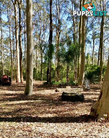 212 Goodland Road WOOLLAMIA NSW 2540