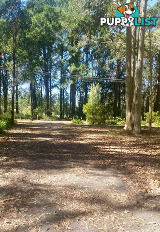 212 Goodland Road WOOLLAMIA NSW 2540