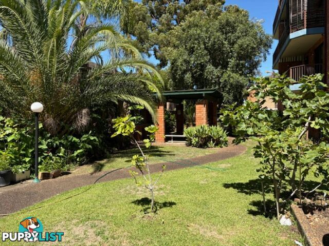 33/12-18 Equity Place CANLEY VALE NSW 2166