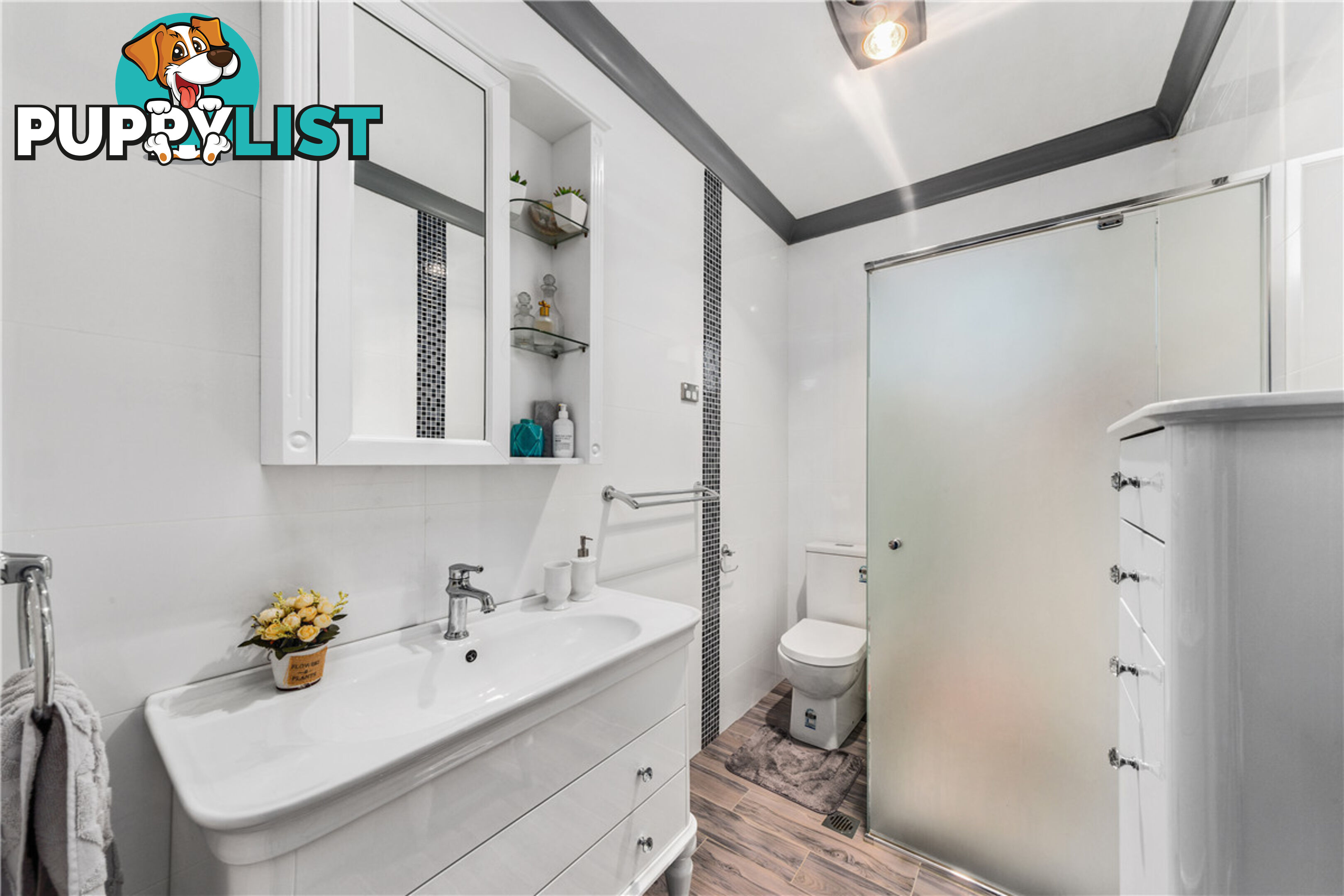 4 Mountview Avenue CHESTER HILL NSW 2162