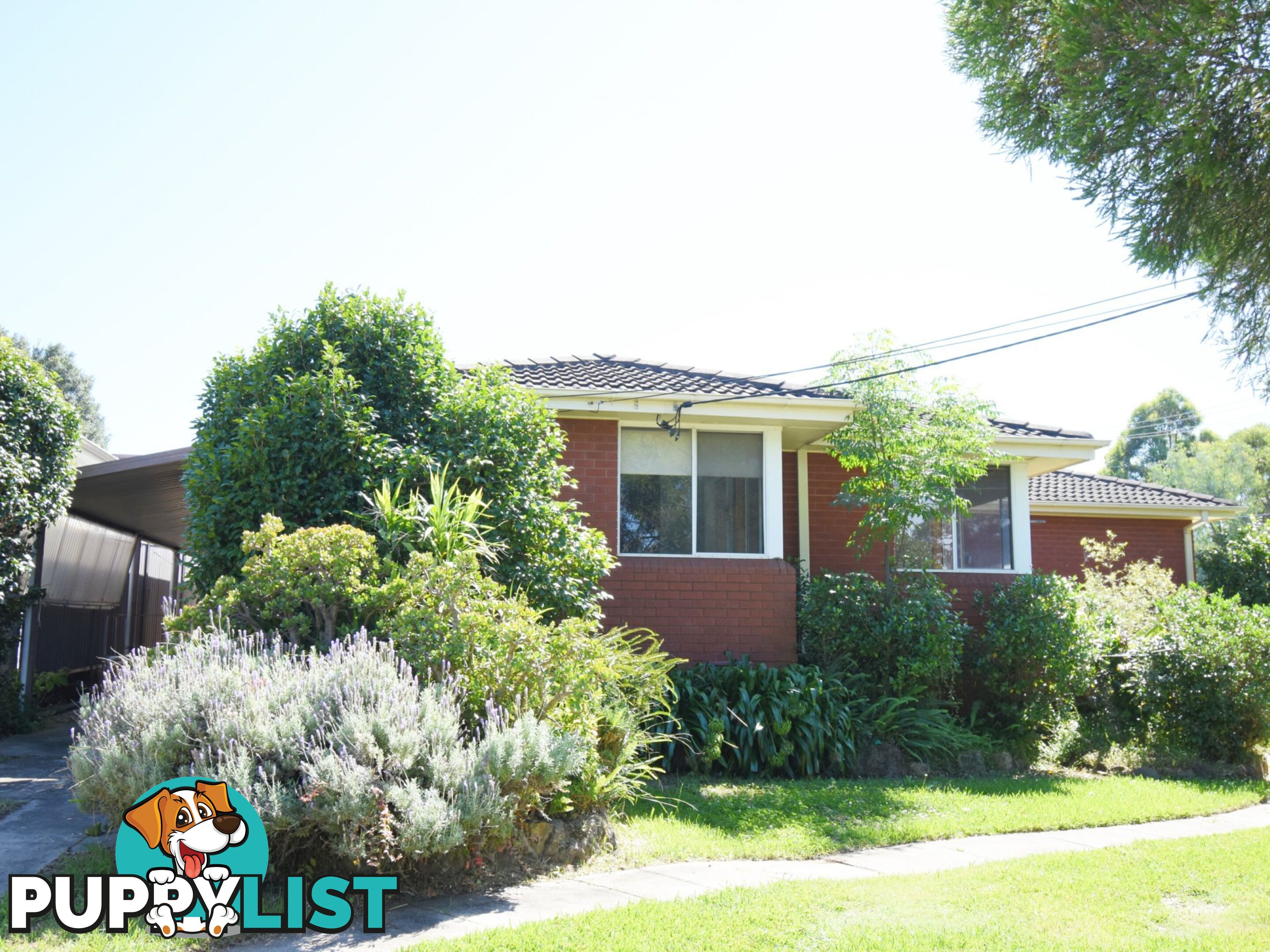 29 MARY STREET NORTHMEAD NSW 2152