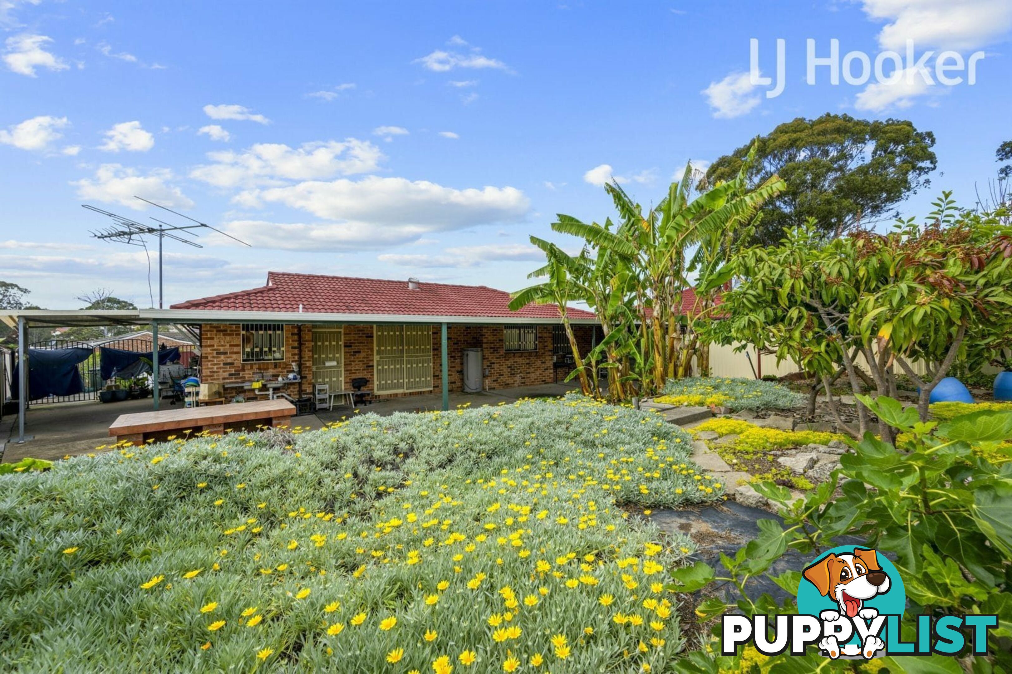 15 LALICH AVE BONNYRIGG NSW 2177