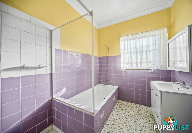 51A Lovoni St CABRAMATTA NSW 2166