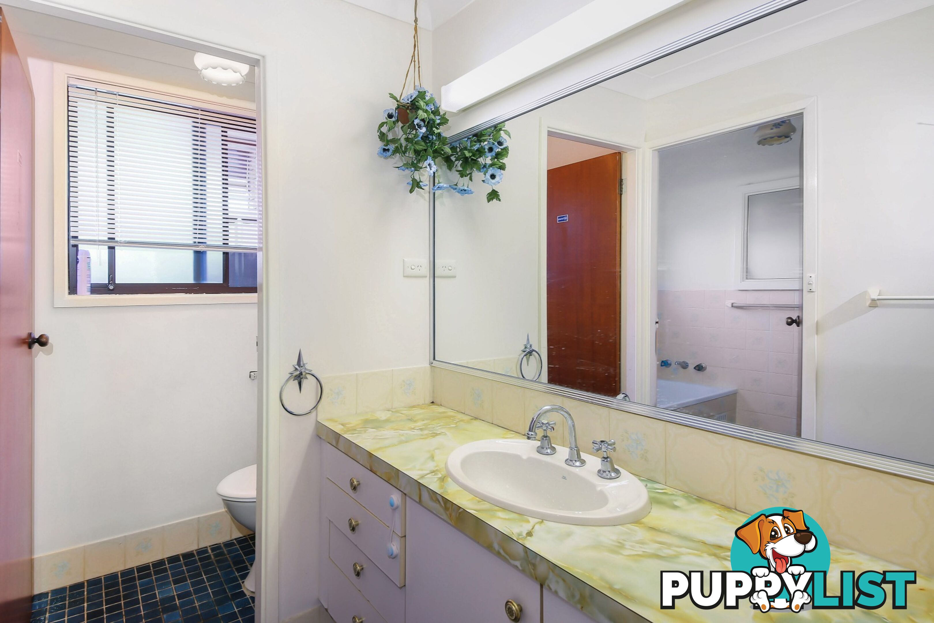 8 St Kilda Street ST JOHNS PARK NSW 2176