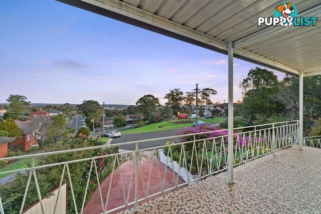 41 Lee Street CONDELL PARK NSW 2200