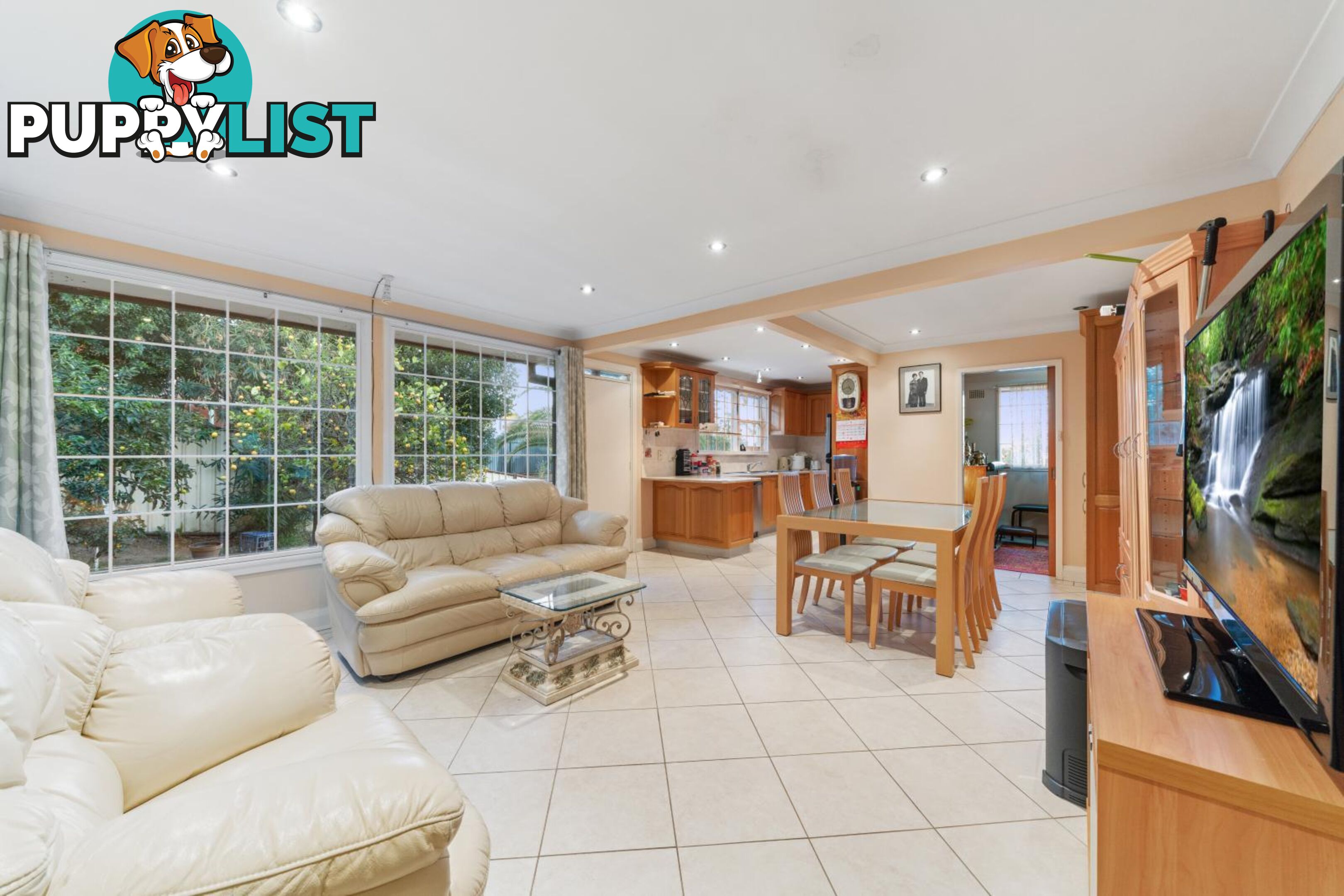 41 Lee Street CONDELL PARK NSW 2200