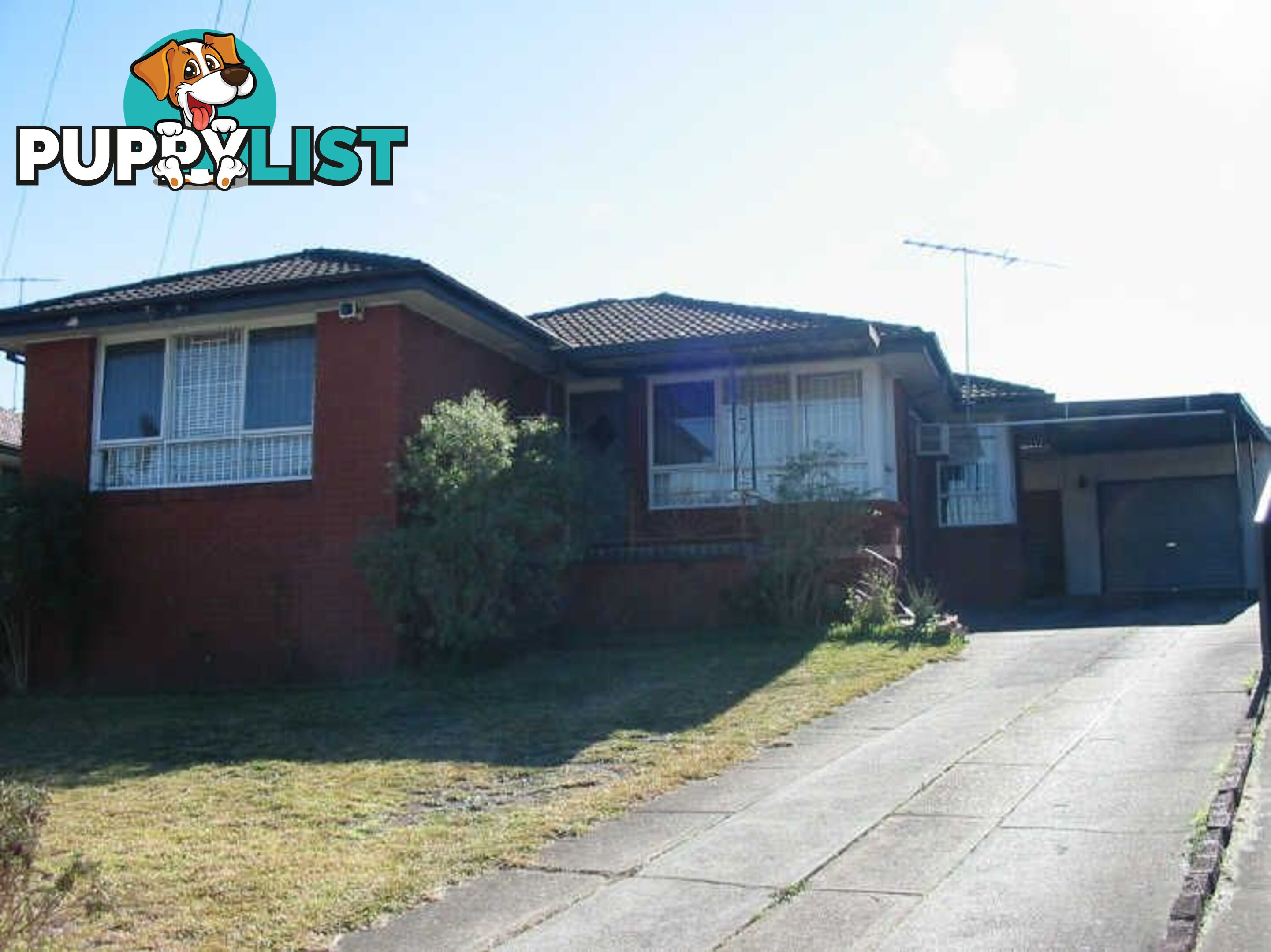 31 Jasmine Crescent CABRAMATTA NSW 2166