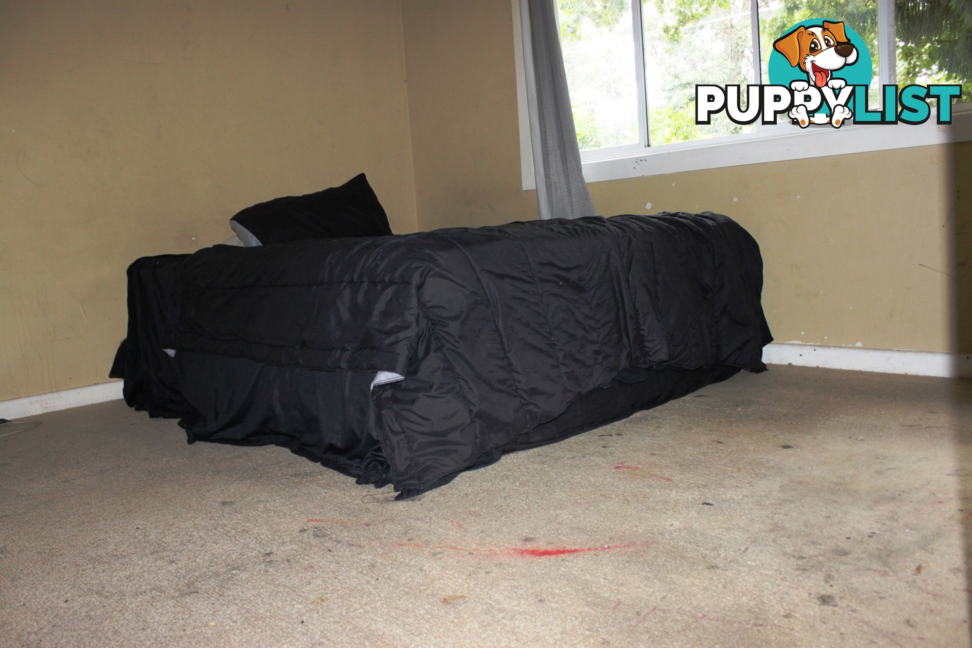 33 East Parade FAIRFIELD NSW 2165