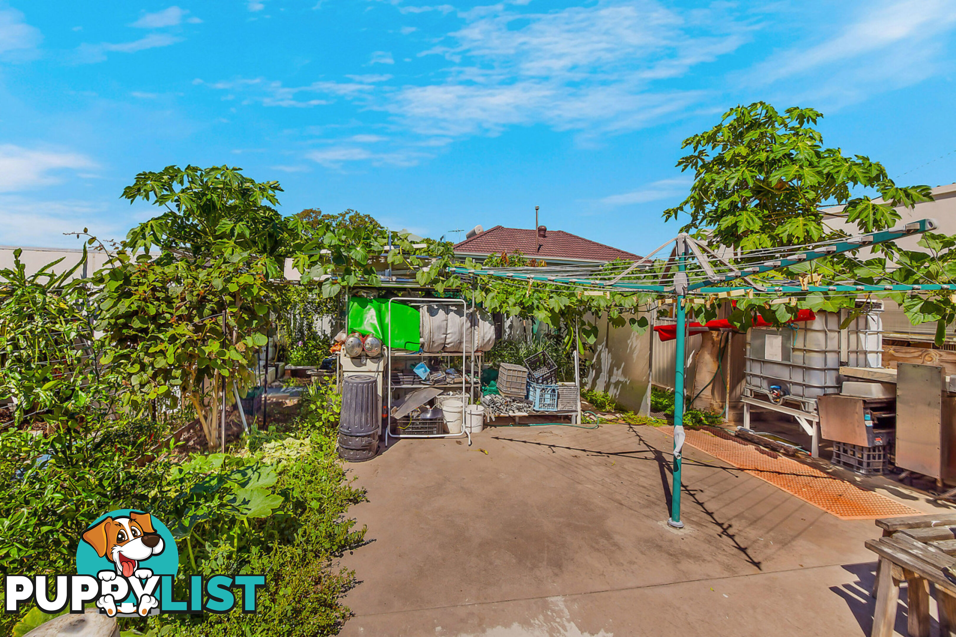 64 Marlborough Street SMITHFIELD NSW 2164