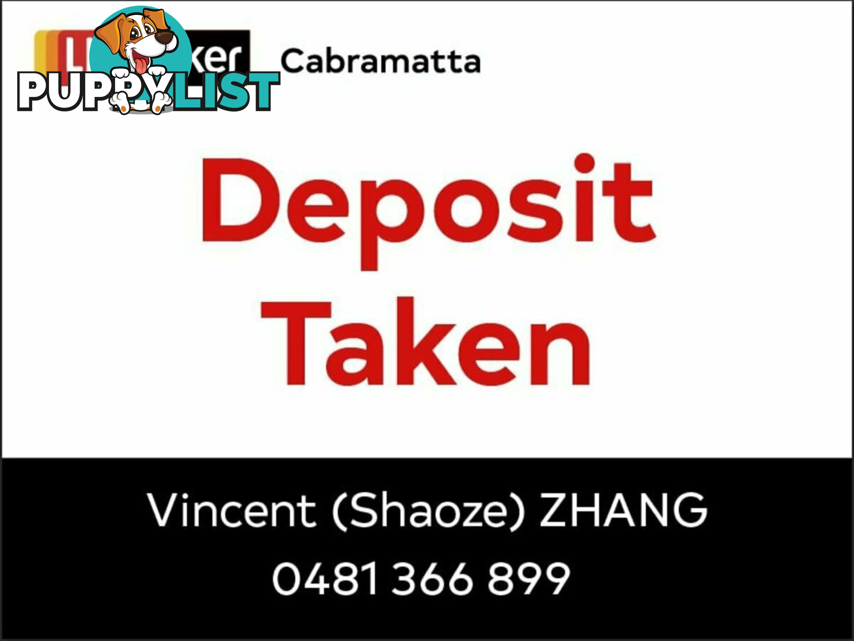 58B LIME ST CABRAMATTA WEST NSW 2166