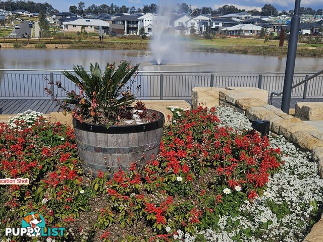 18 Reservoir Circuit NORTH RICHMOND NSW 2754