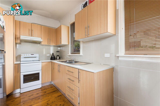 11 Dargie Street MOUNT PRITCHARD NSW 2170