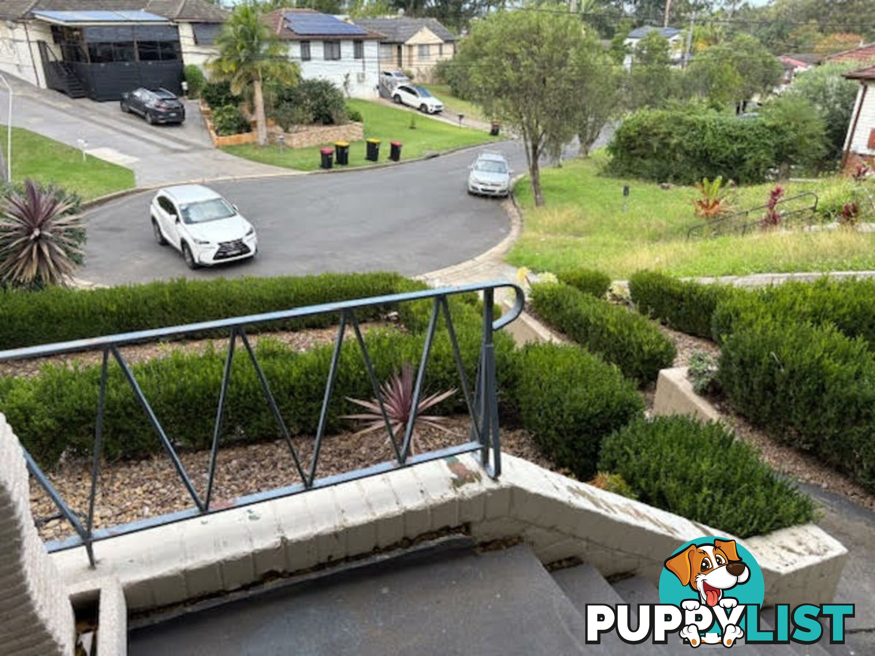 11 Alexandria Place BUSBY NSW 2168