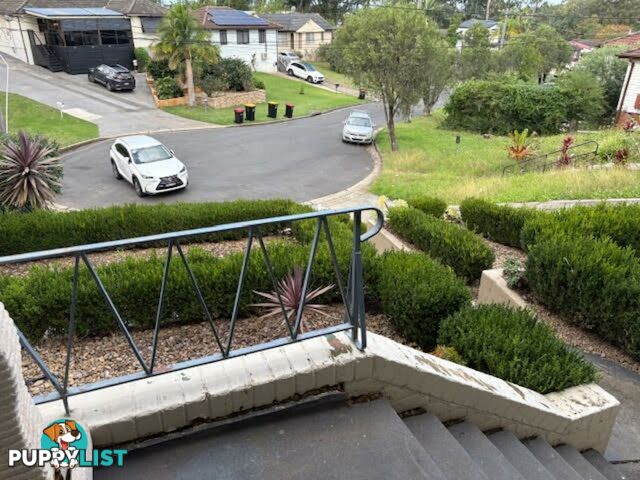 11 Alexandria Place BUSBY NSW 2168