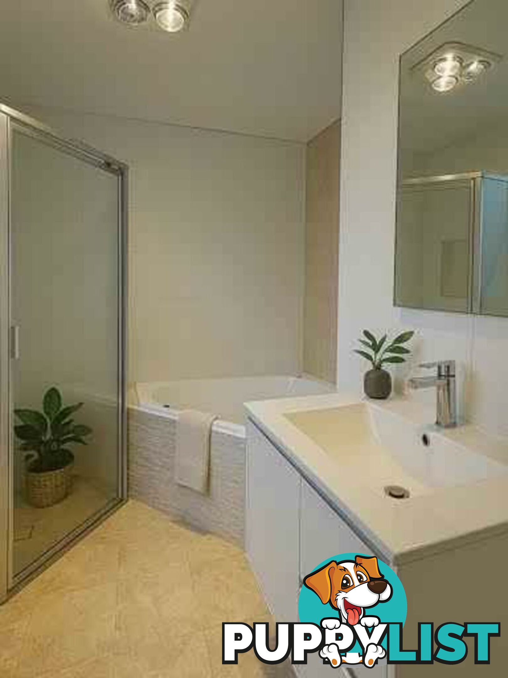 11 Alexandria Place BUSBY NSW 2168