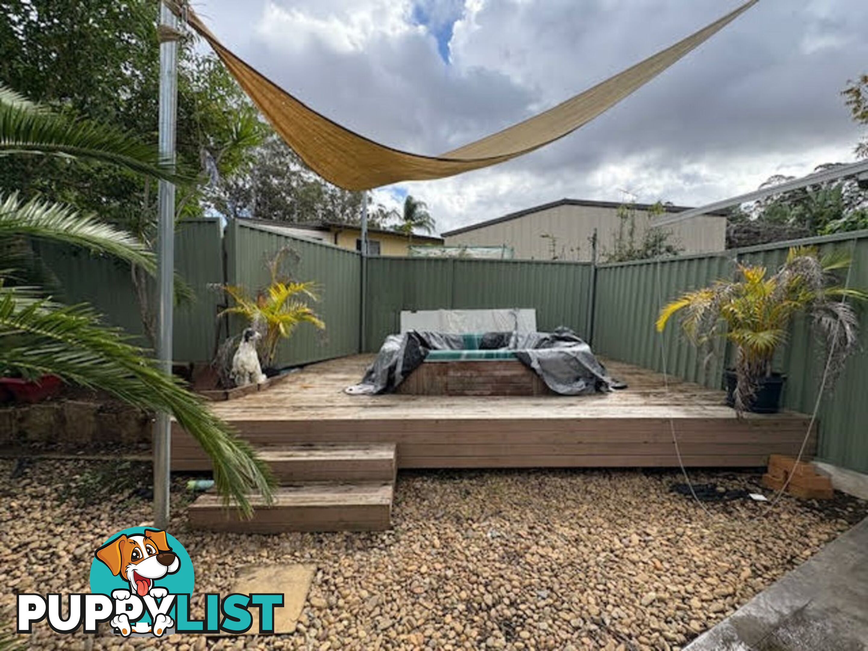 11 Alexandria Place BUSBY NSW 2168