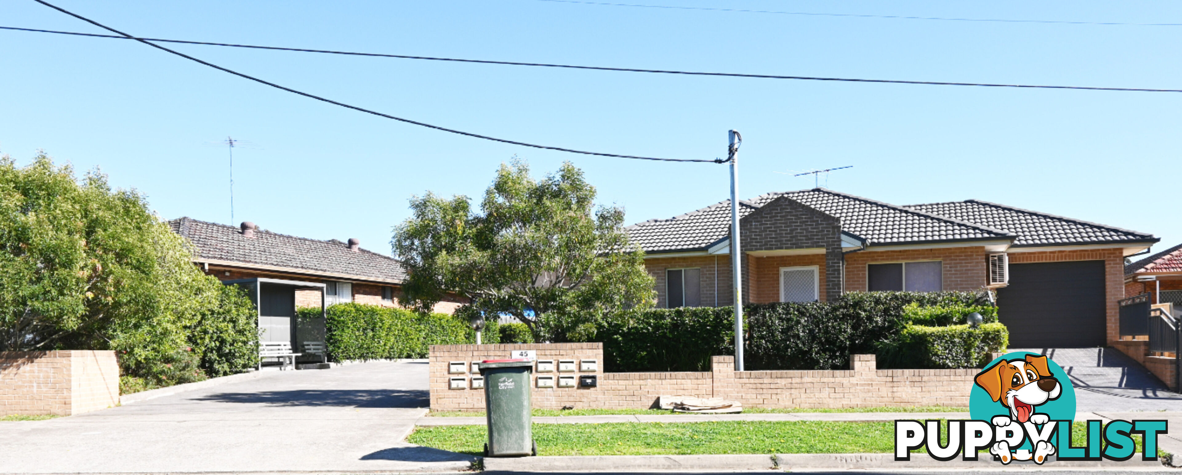 45 Anderson Avenue MOUNT PRITCHARD NSW 2170