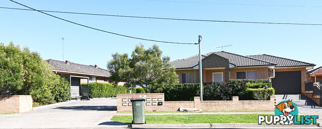 45 Anderson Avenue MOUNT PRITCHARD NSW 2170