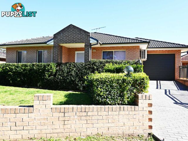 45 Anderson Avenue MOUNT PRITCHARD NSW 2170